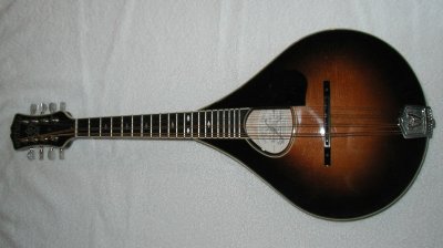 A-style mandolin